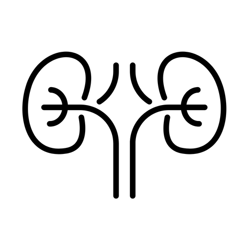 300+ Nephrology Notes nephrology