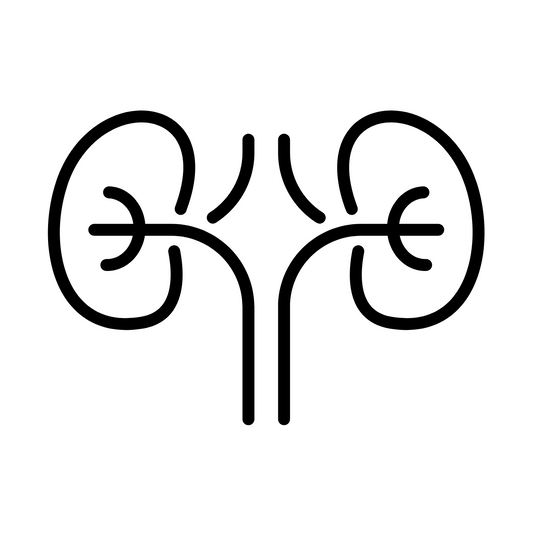 300+ Nephrology Notes nephrology